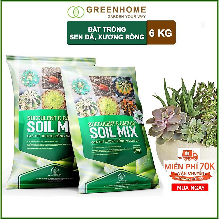 Soil Mix Đất trồng Sen đá, Xương rồng 6kg