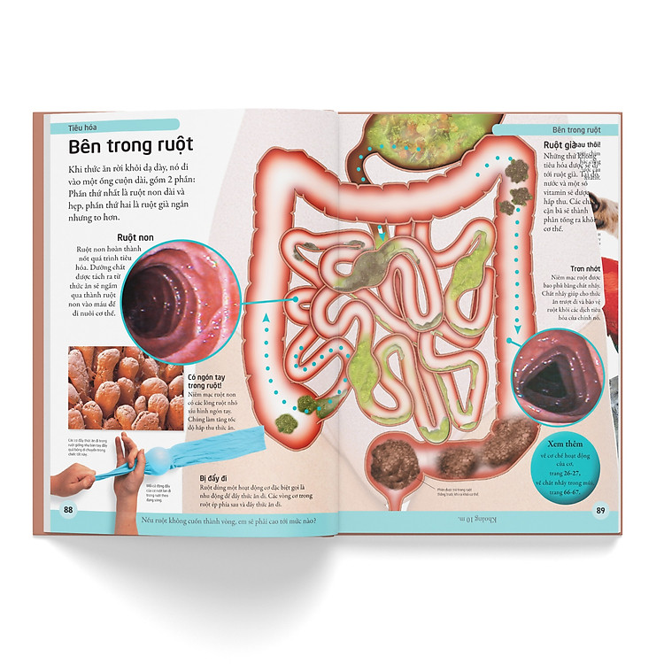 Bách Khoa Cho Trẻ Em – Bách Khoa Cơ Thể Người - Ảnh 2