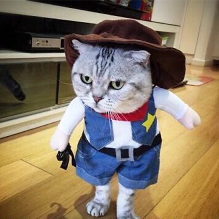 Bộ quần áo Cosplay Cowboy dành cho Chó Mèo