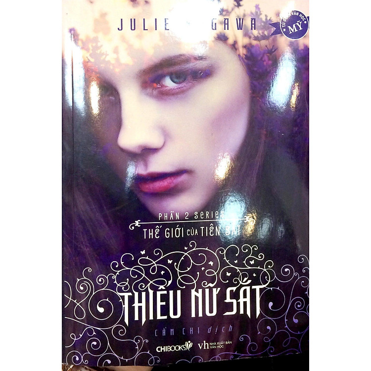 Thiếu Nữ Sắt (Phần 2 Series Thế Giới Của Tiên Sắt) - Ảnh 3