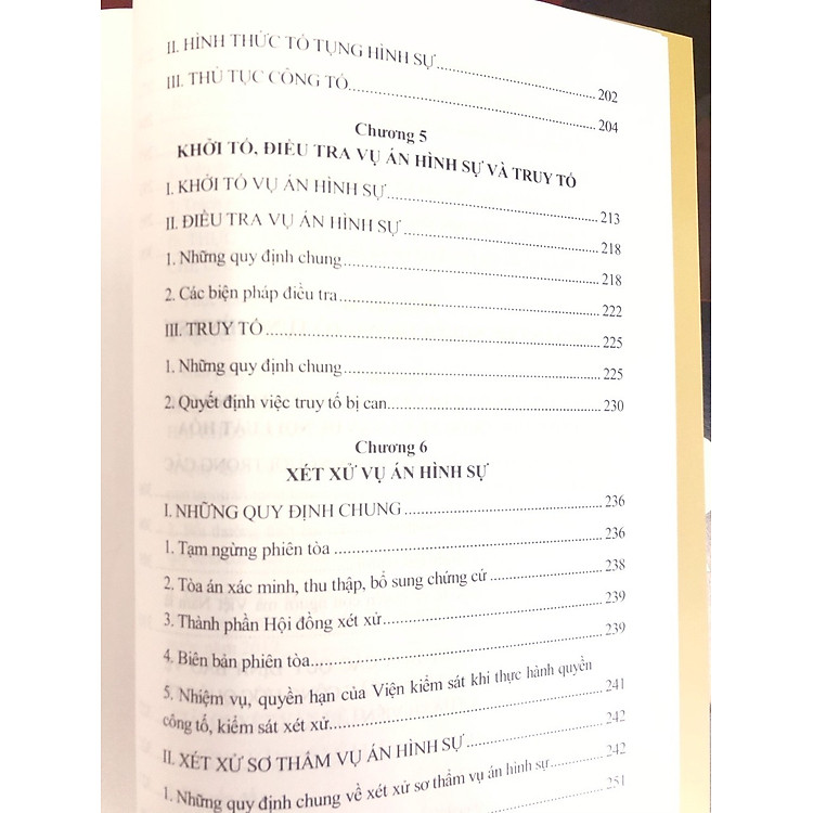 Pháp Luật Tố Tụng Hình Sự Với Việc Bảo Vệ Quyền Con Người - Ảnh 6