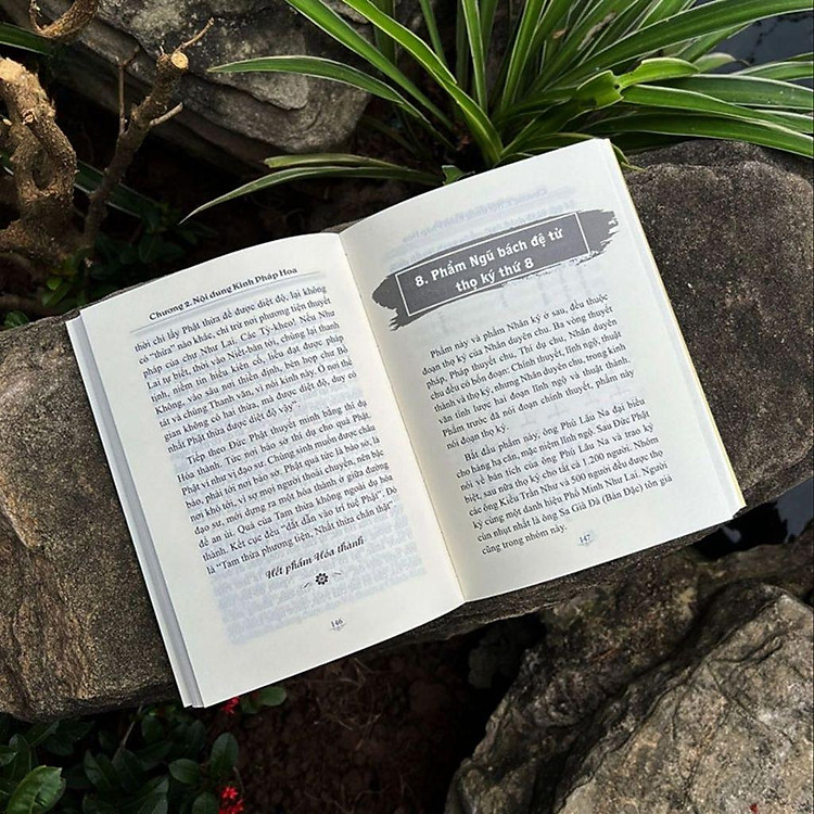 Đại Ý Kinh Pháp Hoa - Ảnh 4