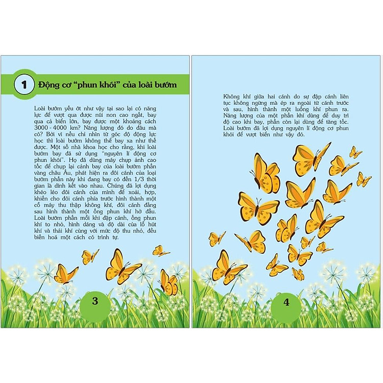 Bách Khoa - 101 Bí Ẩn Thú Vị - Động Vật - Ảnh 2