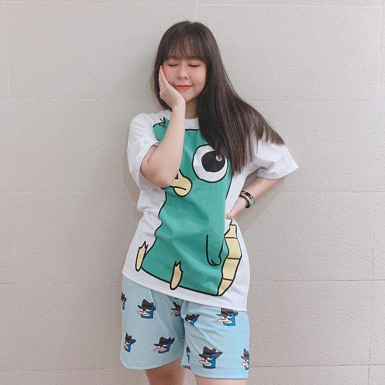 SET ĐỒ BỘ NỮ IN 3D THÚ MỎ VỊT.