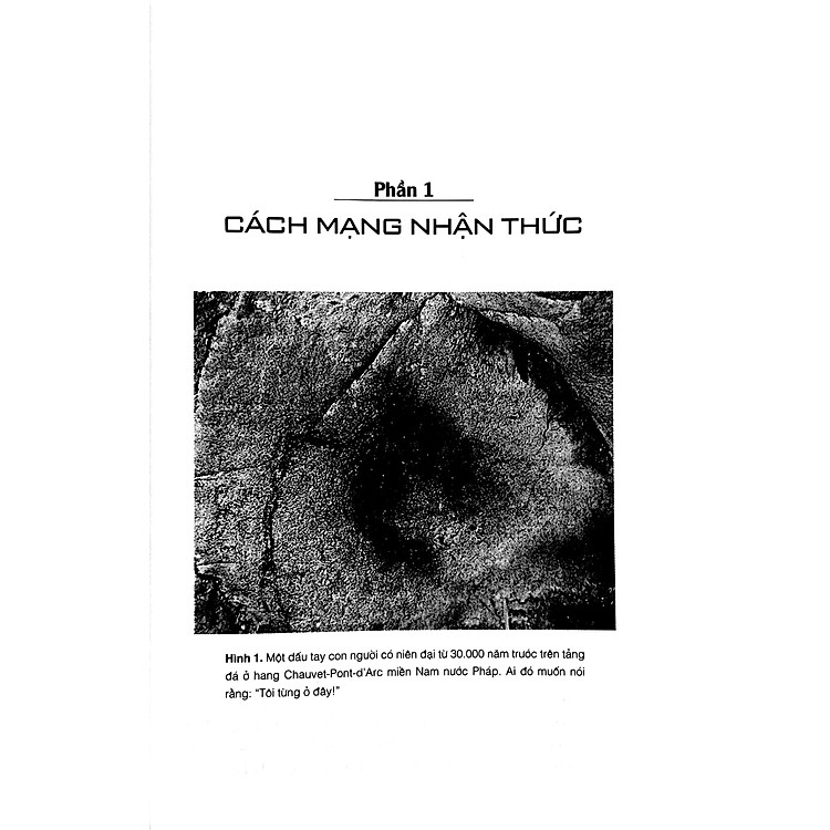 Sapiens - Lược Sử Loài Người - Ảnh 5