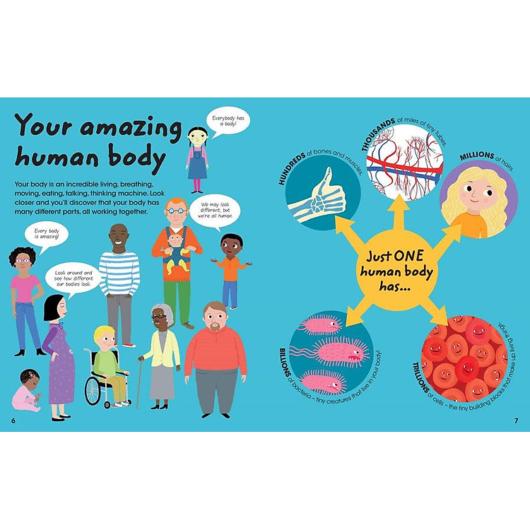 Factivity Vol. 2 - Discover Your Amazing Human Body - Ảnh 3