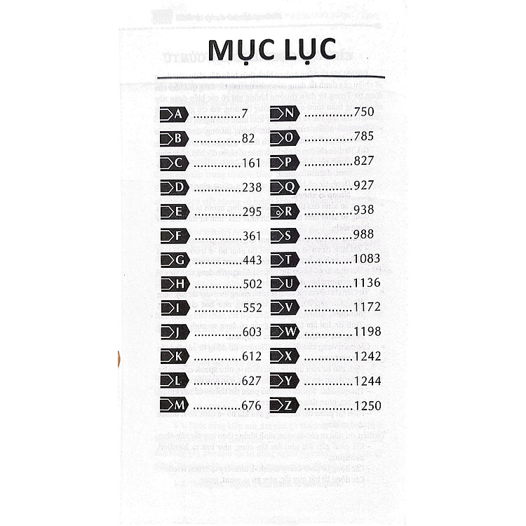 Từ Điển Anh Việt 225.000 Mục Từ & Định Nghĩa (Tái Bản 2024) - Ảnh 2