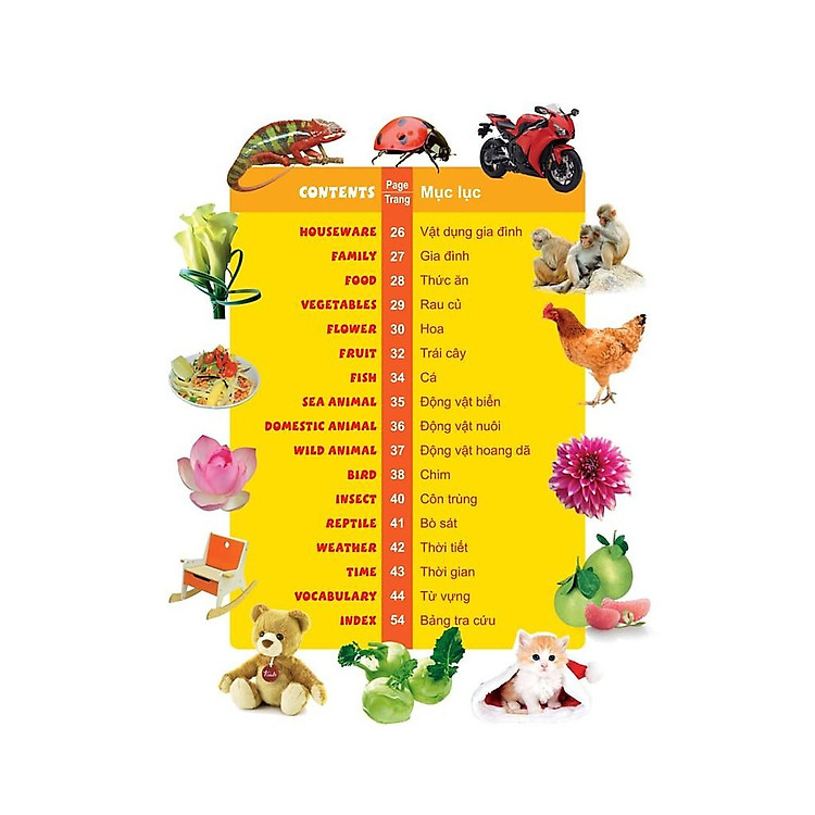 1000 Từ Tiếng Anh Đầu Tiên - Ảnh 4