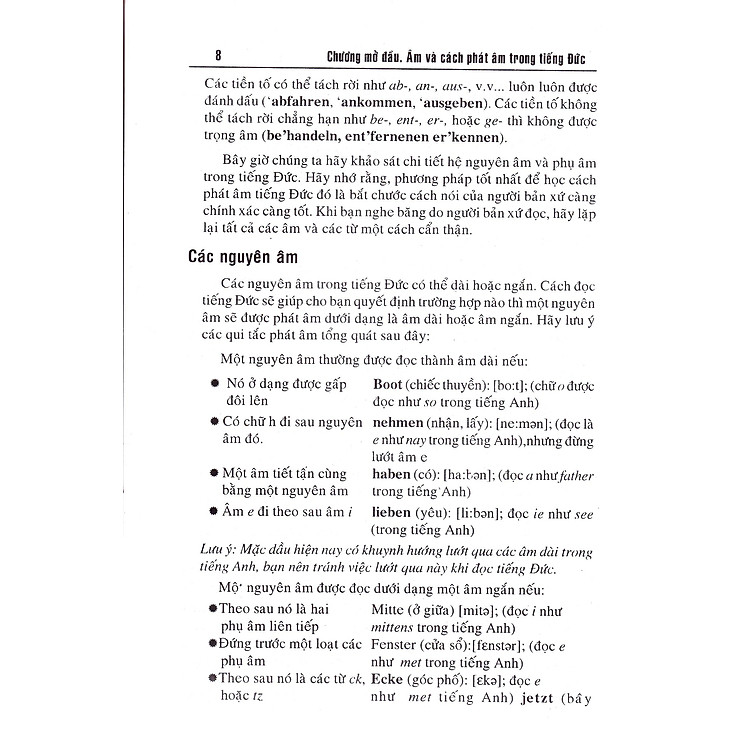Tiếng Đức Dành Cho Người Việt - Ảnh 3