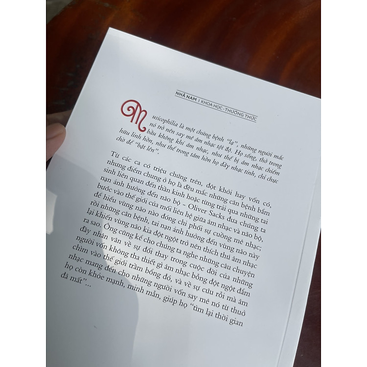 NHỮNG KẺ CUỒNG NHẠC MUSICOPHILIA – TALES OF MUSIC AND THE BRAIN - Ảnh 4