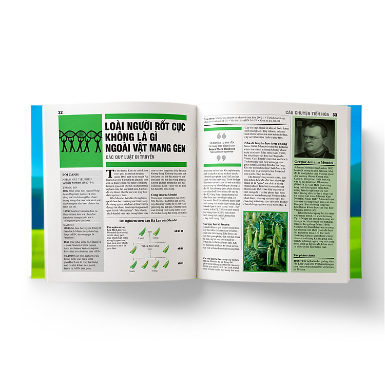 Sinh thái học - Khái lược những tư tưởng lớn - Ảnh 4