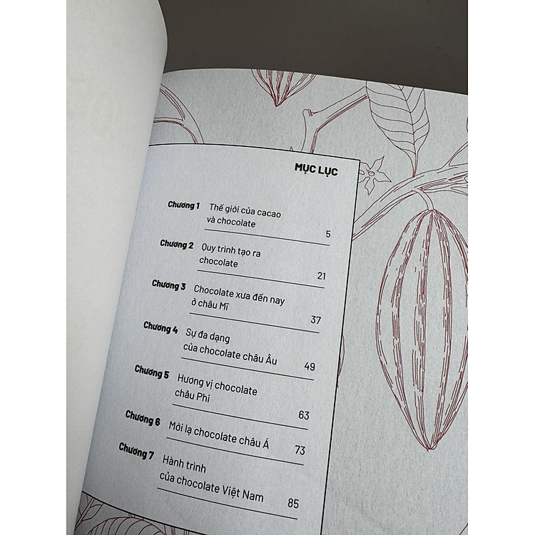 ẨM THỰC CHINH PHỤC THẾ GIỚI - CHOCOLATE - Ảnh 2