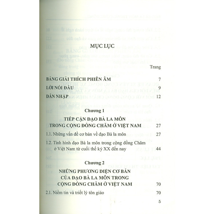 Đạo Bà La Môn Trong Cộng Đồng Người Chăm Ở Việt Nam - Ảnh 3