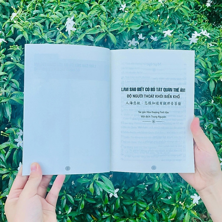 Làm Sao Biết Có Bồ Tát Quán Thế Âm Độ Người Thoát Khỏi Biển Khổ - Ảnh 3