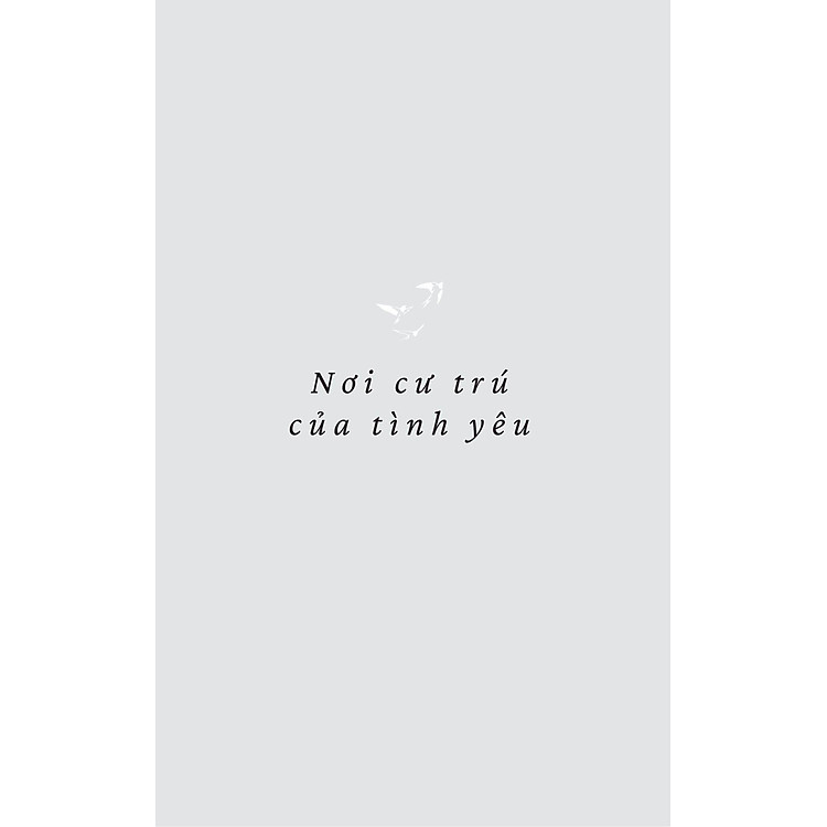 Hồi Âm Từ Phương Nam - Ảnh 3