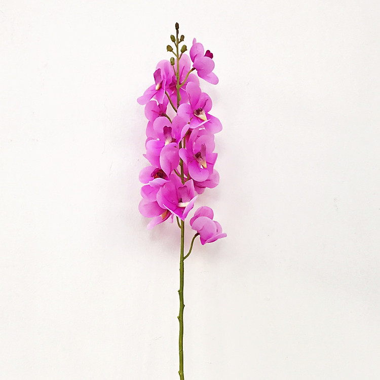 Vscential Cành Hoa Lan Mokara