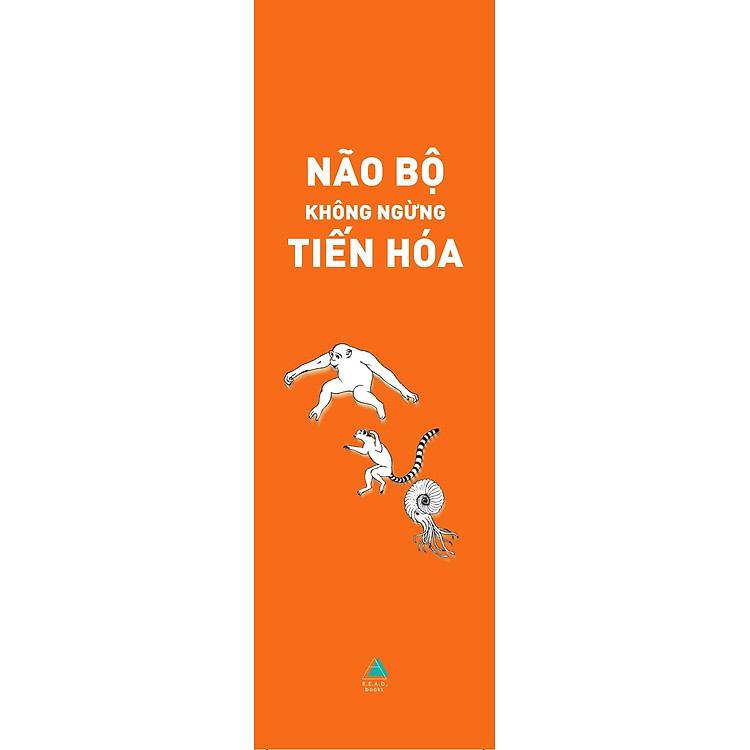 Não Bộ Không Ngừng Tiến Hóa: Trí Thông Minh Của Bạn Đến Từ Đâu? - Ảnh 2