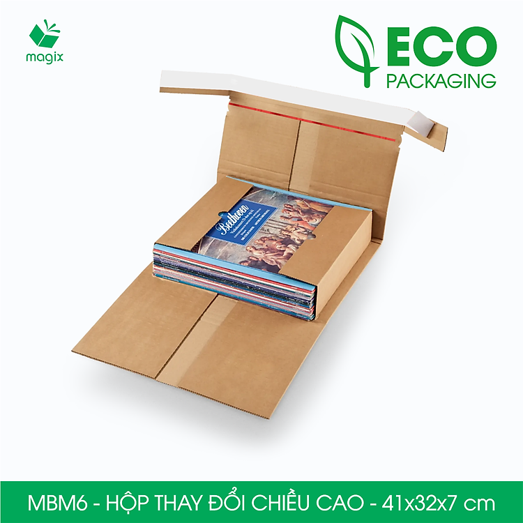 Hộp Carton MBM6 (41x32x7cm, Combo 20 chiếc)