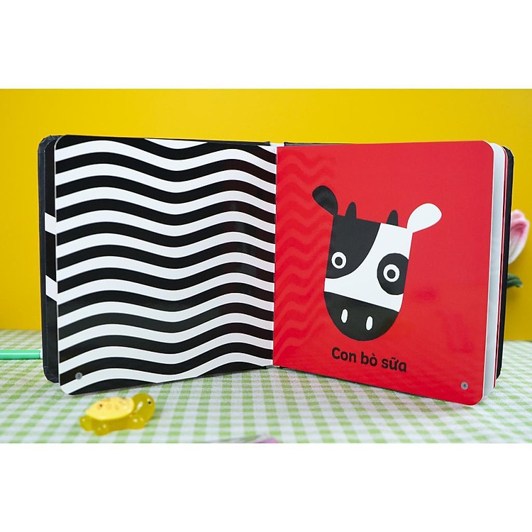 Kích Thích Thị Giác Và Xúc Giác - Cho Trẻ 0 - 3 Tuổi - Ảnh 2