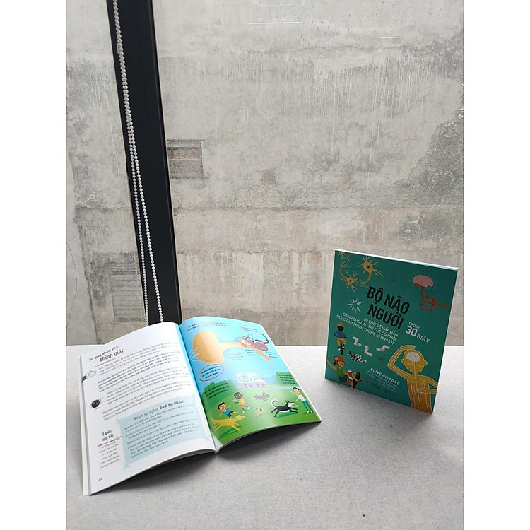 Bộ não người trong 30 giây - Ảnh 2