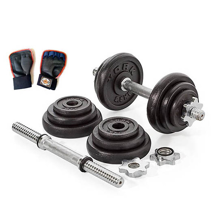 Bộ Tạ Tập Tay 20kg Kèm Hai Đòn Tạ 35cm + Kèm Găng Tay Tập Tạ