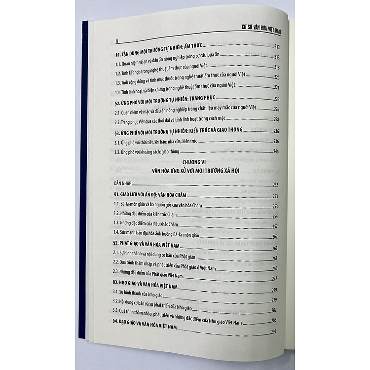 Cơ Sở Văn Hóa Việt Nam - Ảnh 6