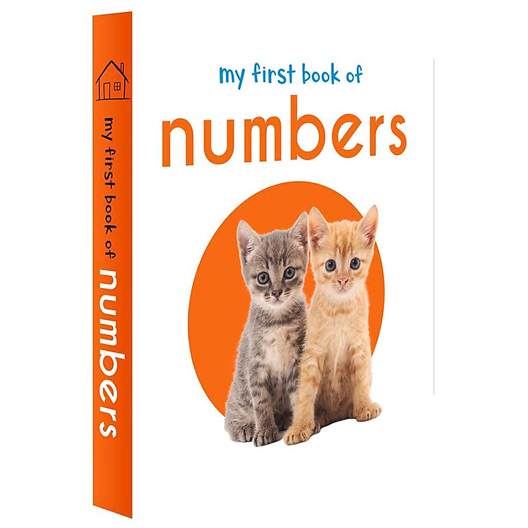 My First Library: Boxset of 10 Board Books for Kids - Ảnh 4