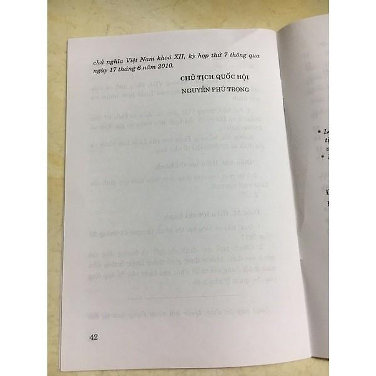 Luật Nuôi Con Nuôi - Ảnh 4