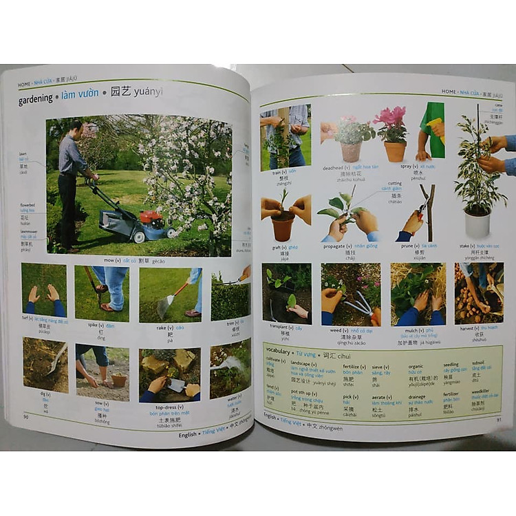 Từ điển hình ảnh Tam Ngữ Trung Anh Việt – Visual English Vietnamese Chinese Trilingual Dictionary - Ảnh 7