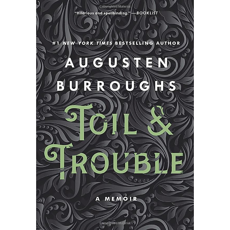 Toil & Trouble: A Memoir - Ảnh 4