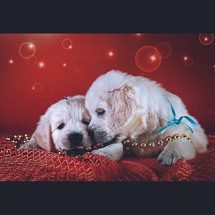 Tranh xếp hình Tia Sáng Nương Tựa Chính hãng Tiết kiệm - Hình ảnh 2