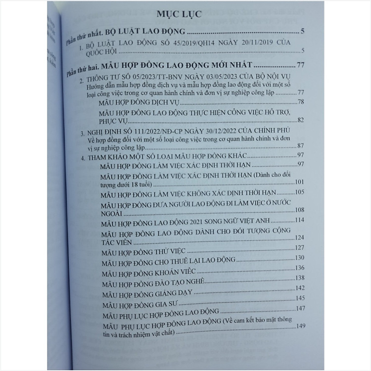Bộ Luật Lao Động - Mẫu Hợp Đồng Lao Động - Chế Độ Chính Sách Tiền Lương, Tiền Thưởng - Ảnh 3