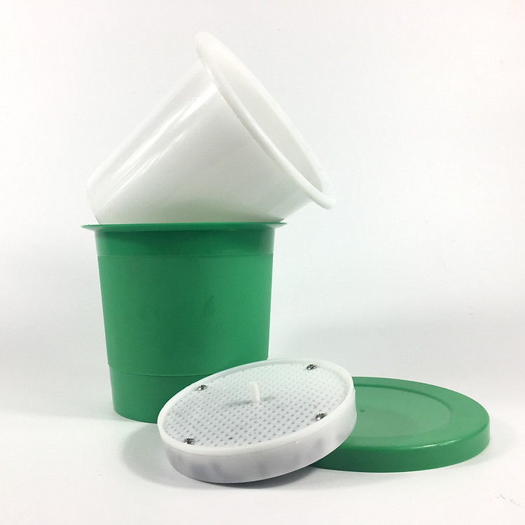 Chậu trồng giá đỗ, Khay trồng rau mầm, Máy trồng đậu hà lan đá