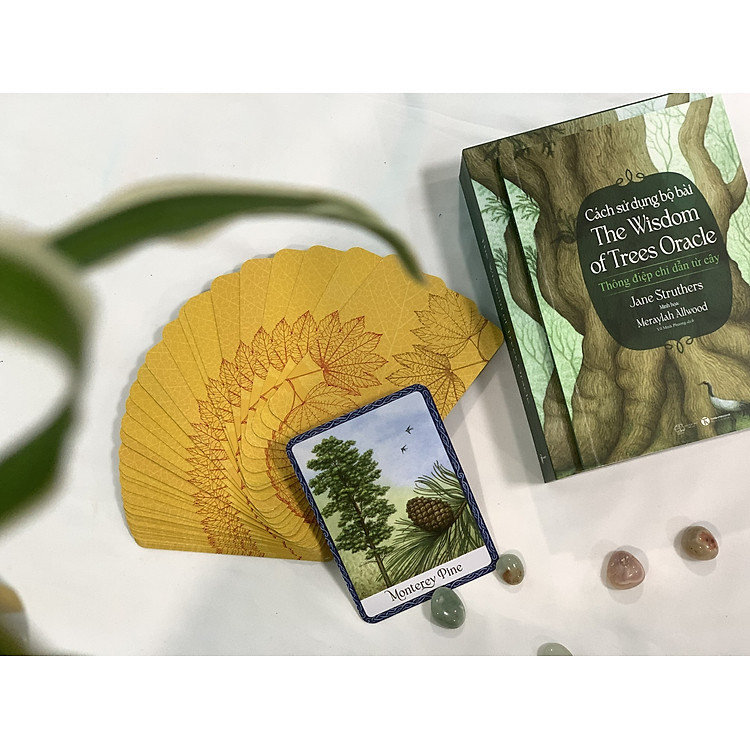 Cách sử dụng Bộ bài Wisdom of Trees Oracle - Ảnh 3