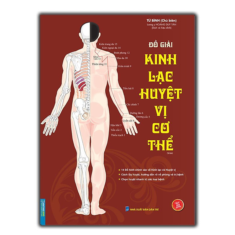 Đồ Giải Kinh Lạc Huyệt Vị - Nam Giới, Nữ Giới, Trẻ Em, Cơ Thể - Ảnh 5
