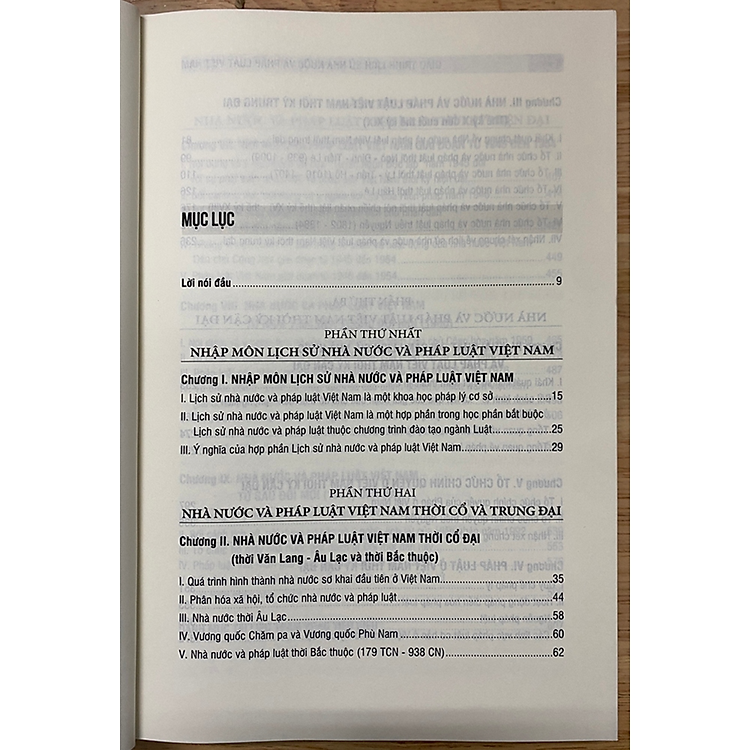 Giáo trình lịch sử nhà nước và pháp luật Việt Nam - Ảnh 3