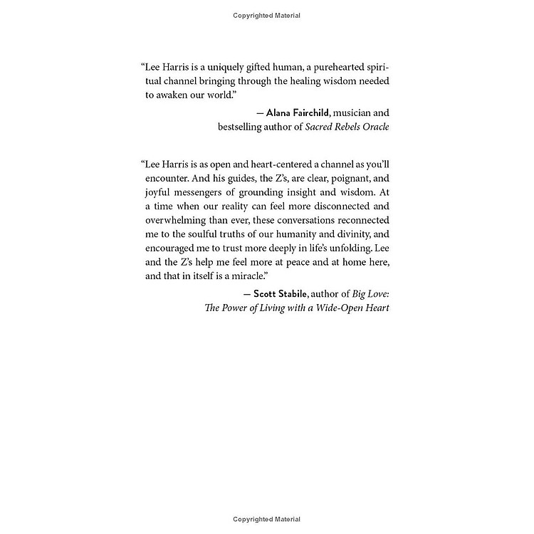 Conversations With The Z's, Book One: The Energetics Of The New Human Soul - Ảnh 7