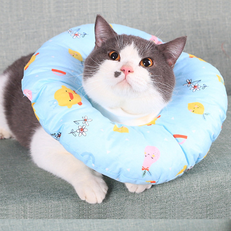 Vòng Cổ Chống Liếm Cho Chó Mèo - Siêu Nhẹ Và Dễ Thương (Giao màu ngẫu nhiên)