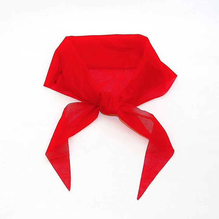 Khăn quàng đỏ học sinh Hồng Hà (3467) - Ảnh 2