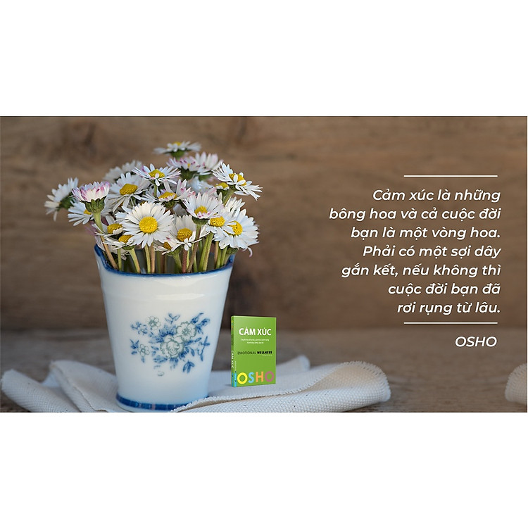 Cảm Xúc - Emotional Wellness - Ảnh 4