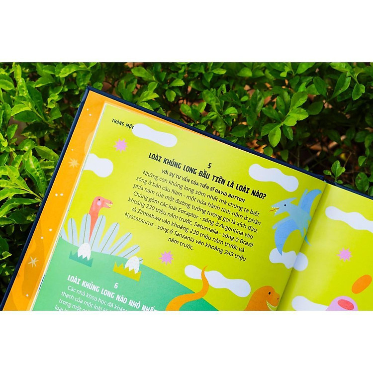 366 Câu Hỏi Lý Thú Của Trẻ – Everything Under The Sun - Ảnh 2