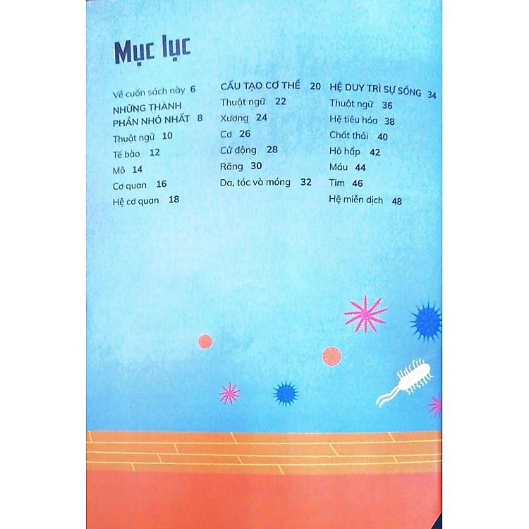 Cơ Thể Người - Trong 30 Giây - Ảnh 5