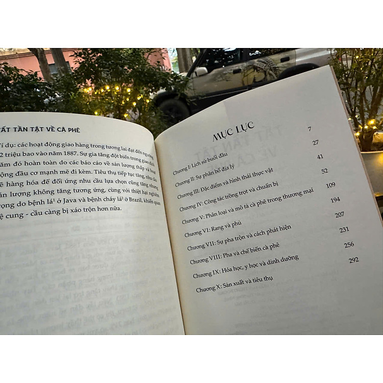 TẤT TẦN TẬT VỀ CÀ PHÊ - Ảnh 3