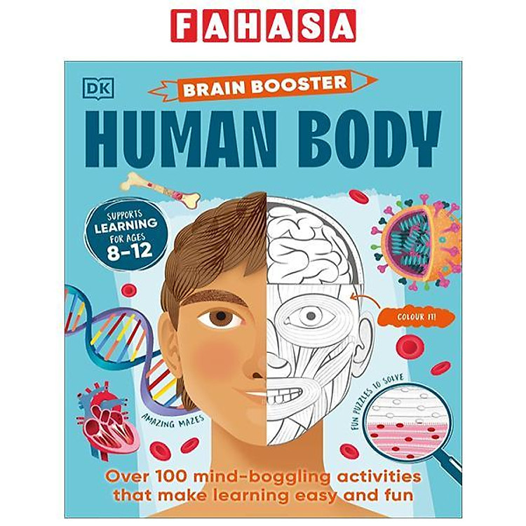 Brain Booster Human Body