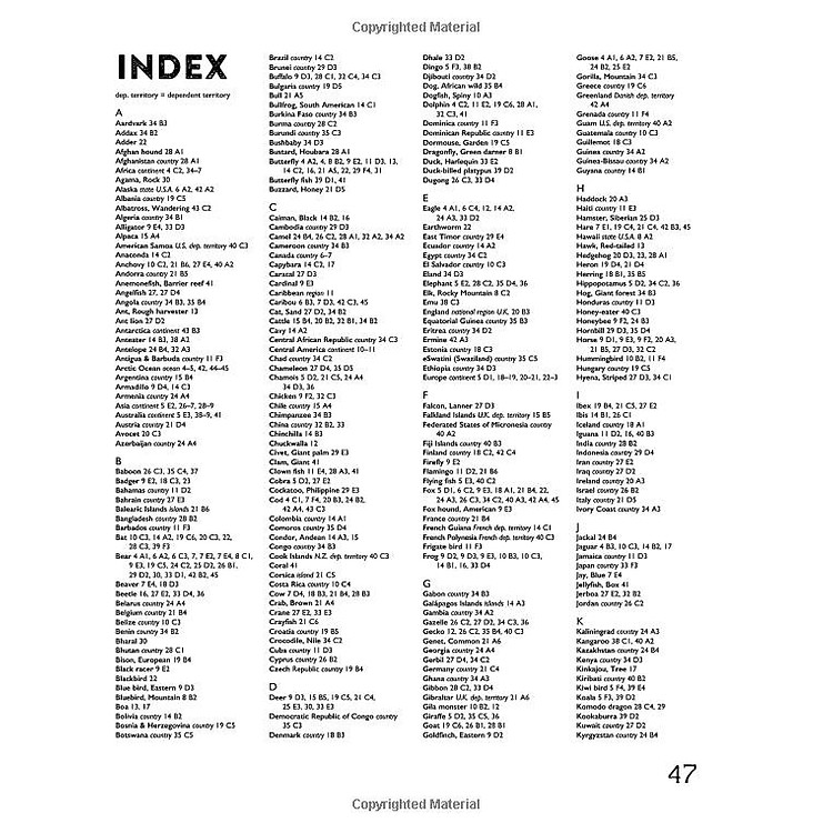 First Animal Picture Atlas - Ảnh 3