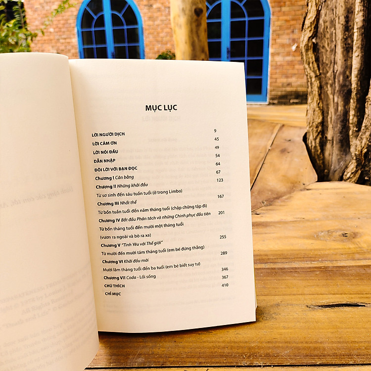 Nhất thể và Phân tách - Ảnh 2