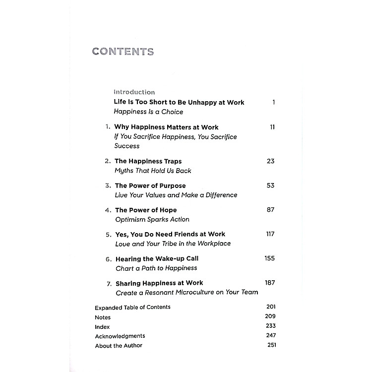 How to Be Happy at Work - Ảnh 4