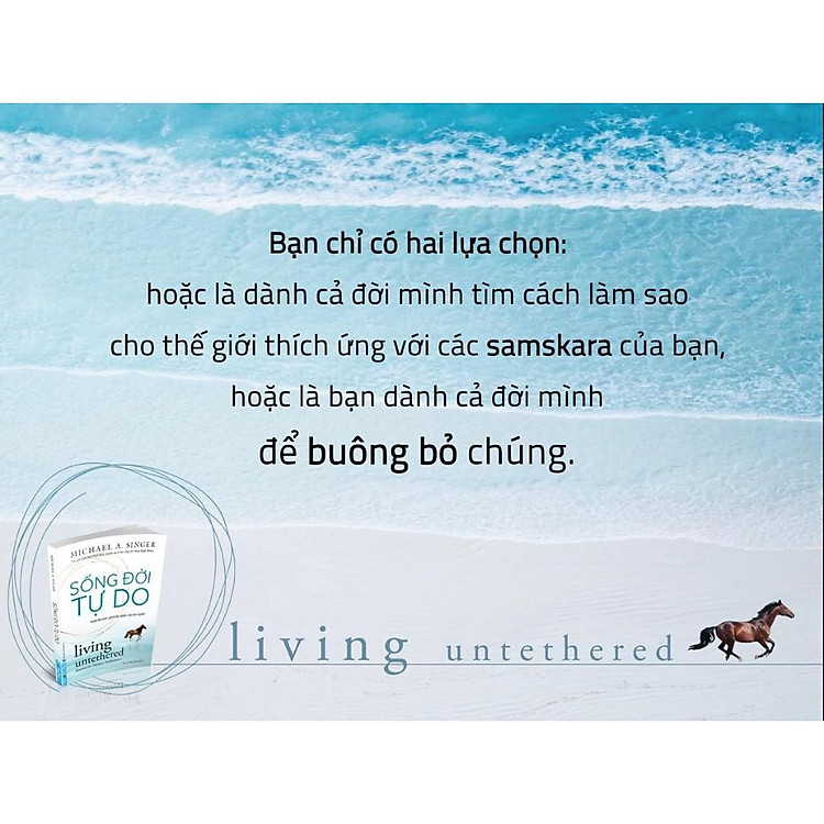 Sao Ta Làm Điều Ta Làm - Ảnh 7