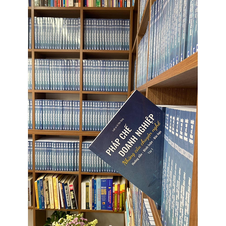 Pháp chế doanh nghiệp - Những câu chuyện nghề (Tập 1) - Ảnh 2