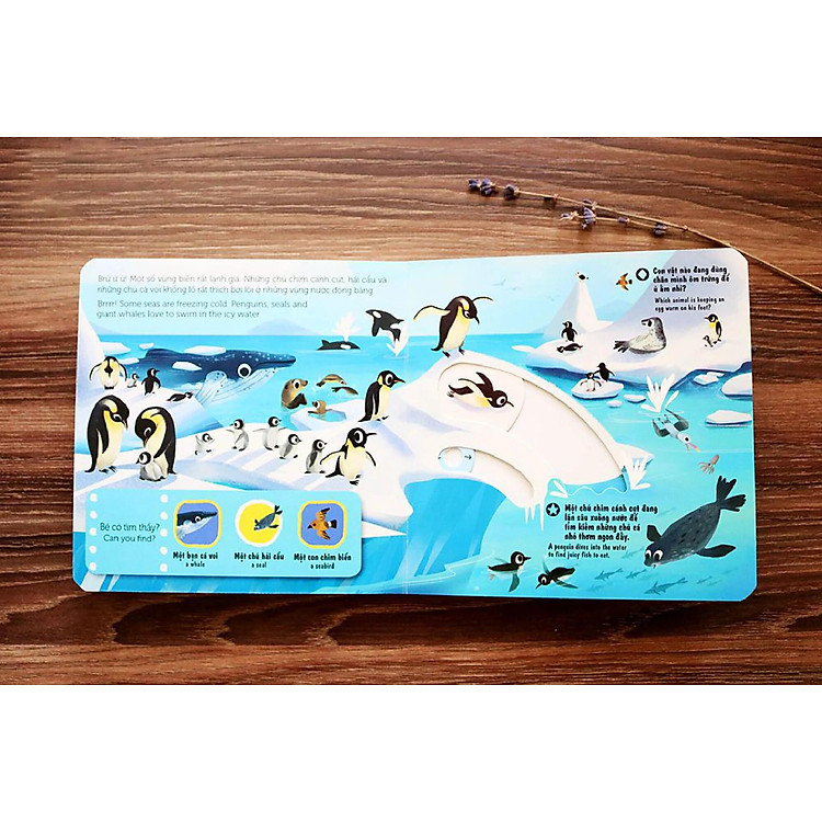 Chuyển Động First Explorers - Sinh Vật Biển - Ảnh 4